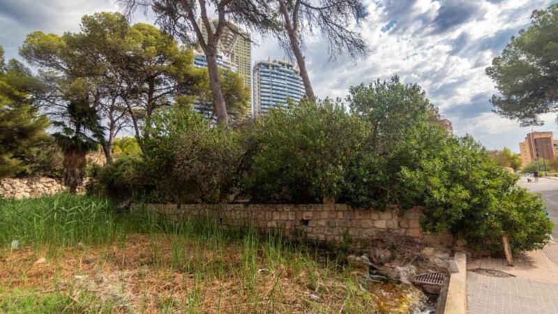 Benidorm Refuerza la Limpieza de Barrancos