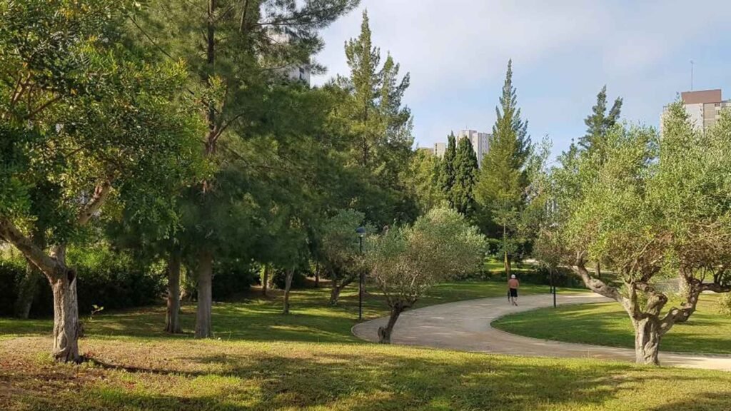 Benidorm invierte 50.000 euros en la plantación de nuevo arbolado para mejorar la calidad de vida urbana