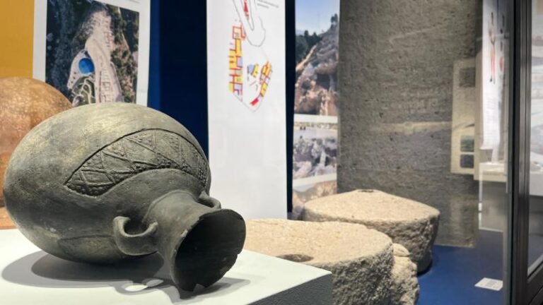 La colección museográfica de Benidorm se integra al Sistema Valenciano de Museos