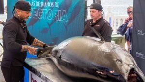 Benidorm--turismo-ronqueo-