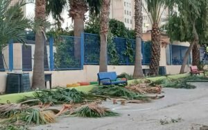 Benidorm mejora la jardinería de sus trece colegios antes del nuevo curso escolar