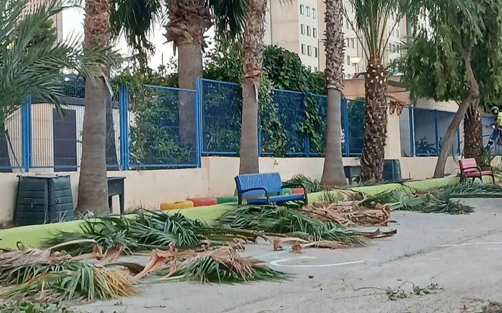Benidorm mejora la jardinería de sus trece colegios antes del nuevo curso escolar