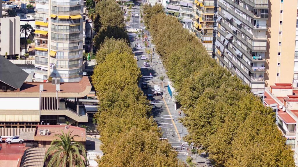 Benidorm plantará cuatrocientos árboles para ampliar sombras y reducir el calor urbano